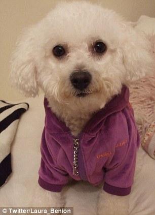 Ӣ��С�������������ö�������