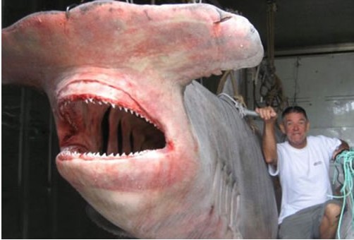 ����֮�� ������������������� ����Ȥ�£�ͼ