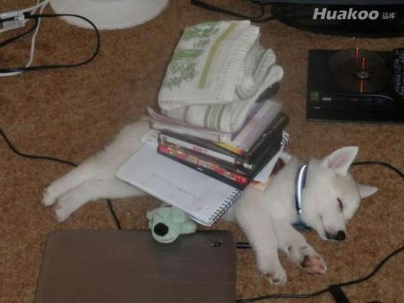 ţA��ţC֮����ˣ����ˣ�