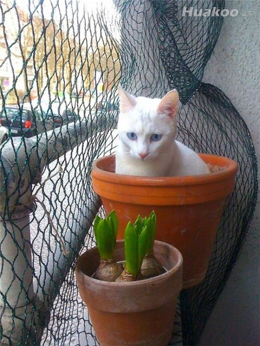 ��Ʒа��ͼ ̫���ˣ��׵���Ѫ��Ȥͼ��