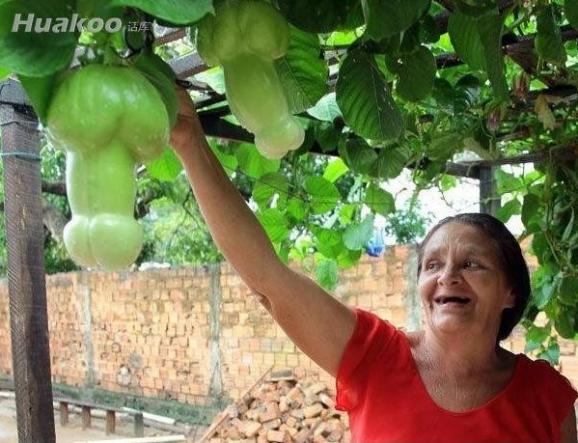 ÿ�Ŷ������� ���Ⱑ����ЦͼƬ