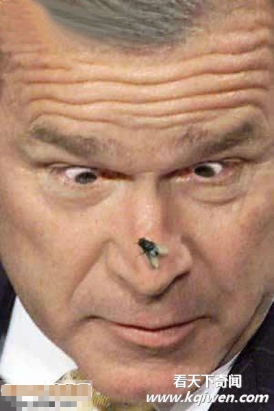 Ц�ƶ�Ƥ����ţ��ЦͼƬȫ�� (��ͼ)