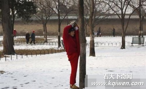 ������һ���������Ҷ��ĵĿ�ͼ��(��ͼ)