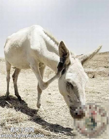 ��Ϊ���ޣ��ҵ�ѹ��Ҳ�ܴ�